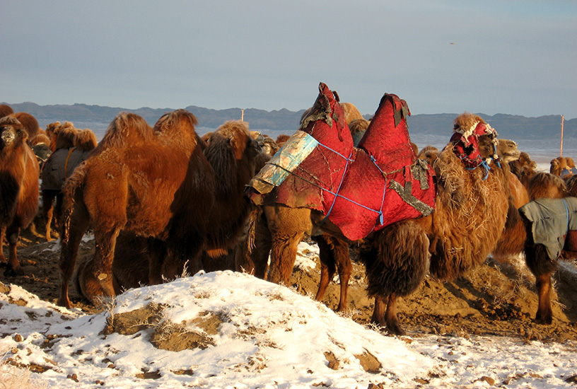 Mongolia - Photo 6 of 12